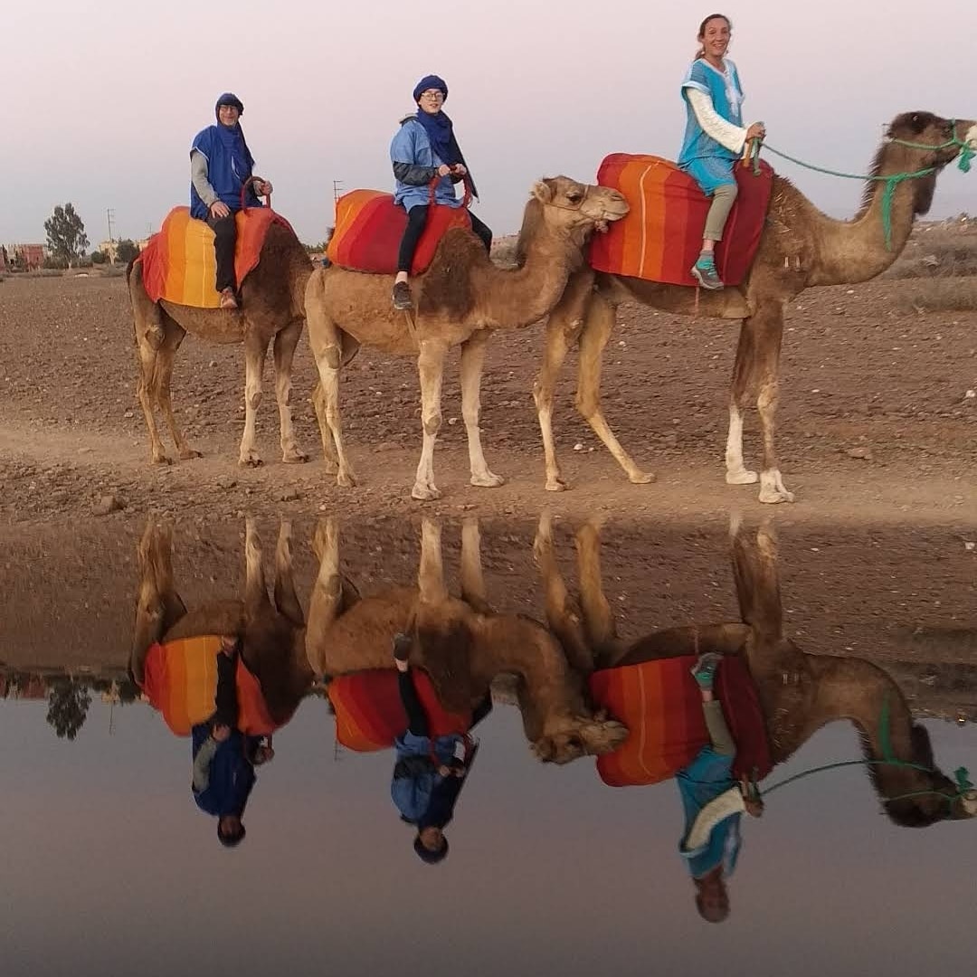Traditional Moroccan Tea & Dinner Experience